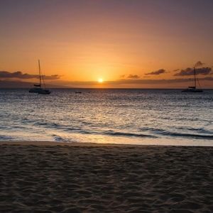 Meet your Posher, Mackenzie